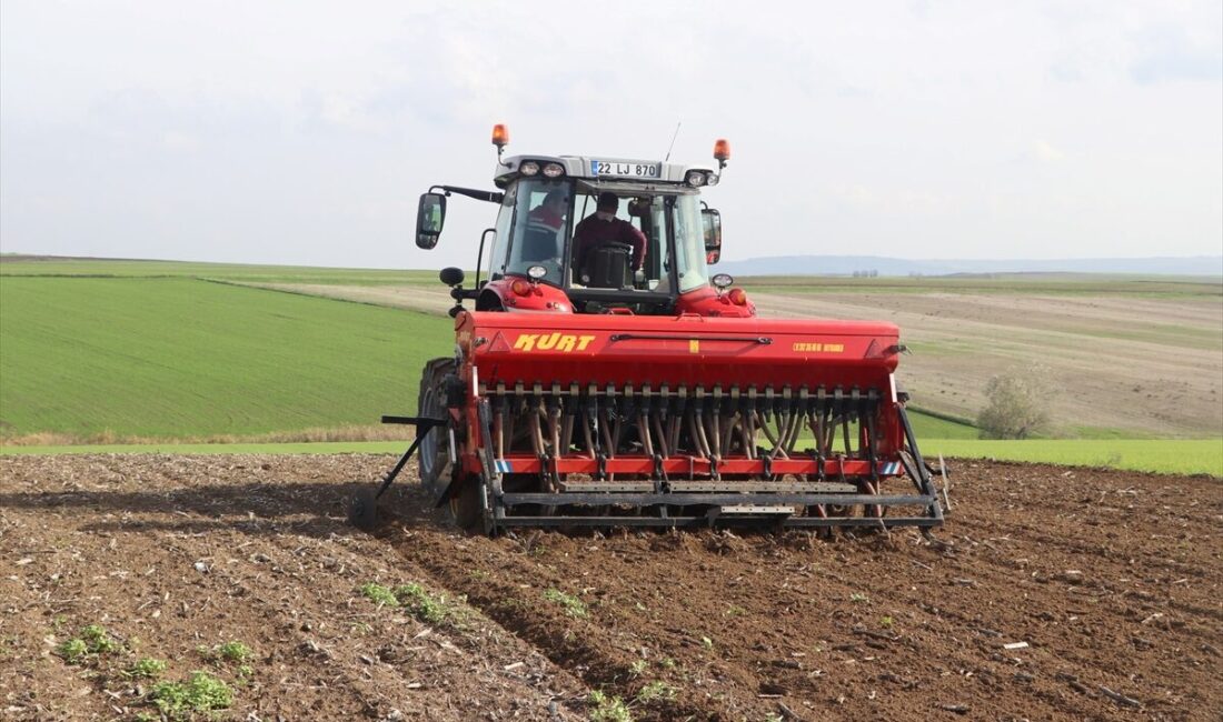 - Edirne Tarım ve Orman Müdürü İslam Köse:
- "Bu uygulamalarla