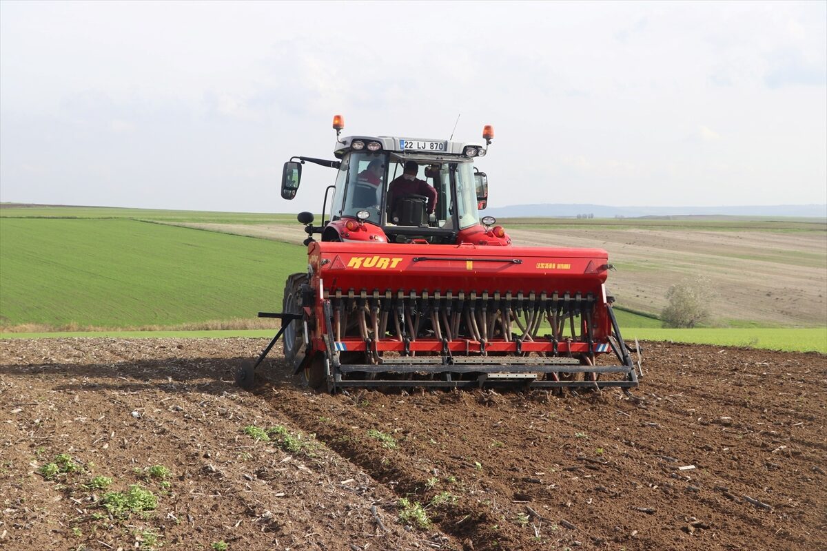 - Edirne Tarım ve Orman Müdürü İslam Köse:
- "Bu uygulamalarla