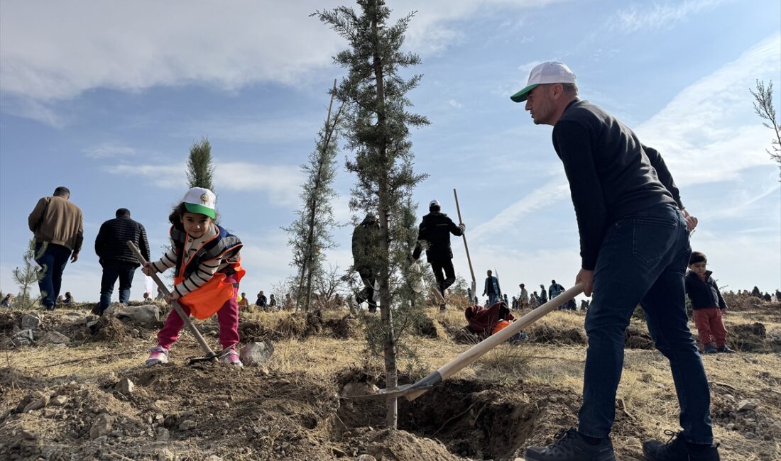 ELAZIĞ (AA) – Elazığ, Şırnak ve Bingöl'de 11 Kasım Milli