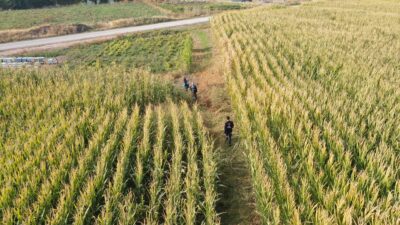 - AFAD İl Müdürlüğü Arama Kurtarma Şube Müdürü Süleyman Polat:
-