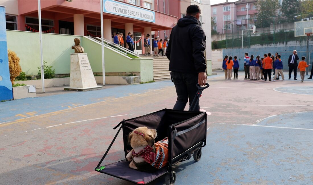 - Kocaeli'de hayata geçirilen "Merhametli Yürekler, Sevgi Dolu Okullar" projesinde