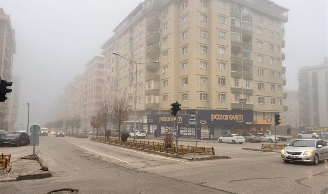 ERZURUM (AA) – Erzurum, Kars, Ardahan ve Ağrı'da yoğun sis