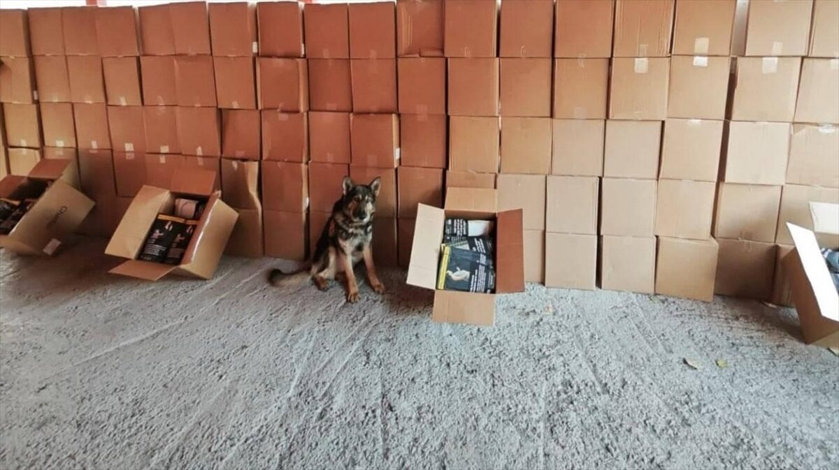 ERZURUM (AA) – Erzurum'da kaçakçılık ve organize suçların önlenmesine yönelik