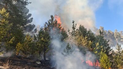 ERZURUM (AA) – Erzurum'un Şenkaya ilçesinde çıkan orman yangınlarının ikisi