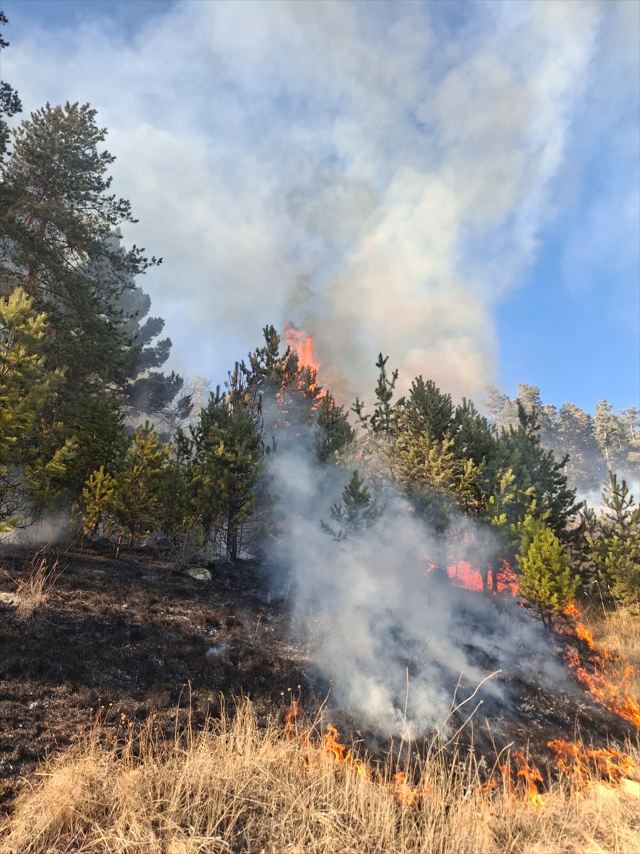ERZURUM (AA) – Erzurum'un Şenkaya ilçesinde çıkan orman yangınlarının ikisi
