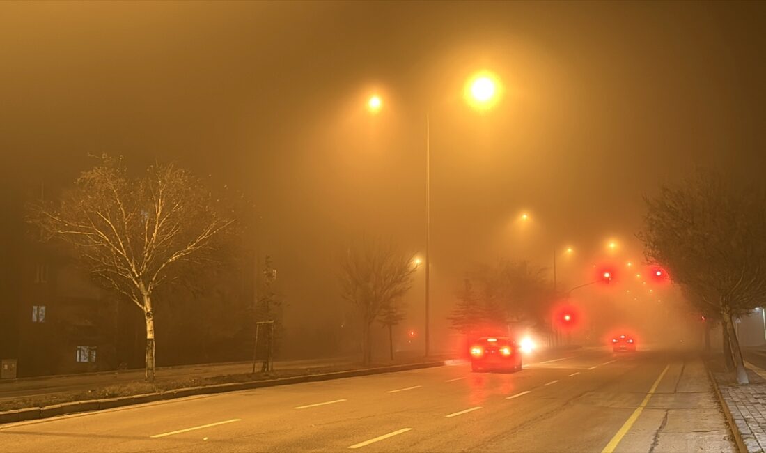 ERZURUM (AA) – Erzurum'da soğuk hava ve yoğun sis etkili