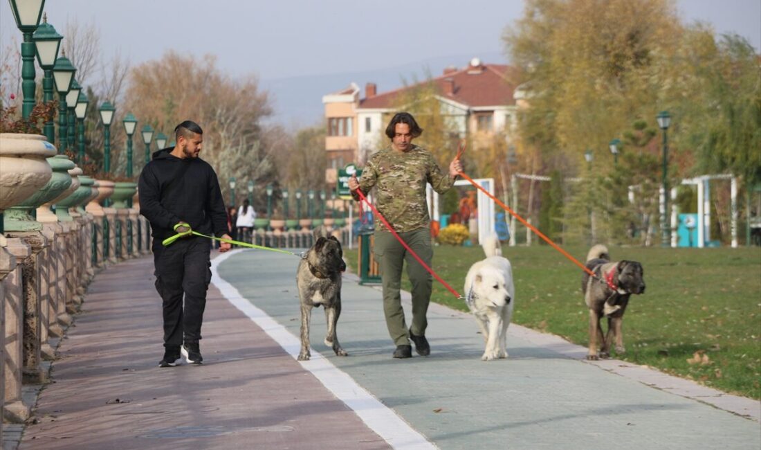 ESKİŞEHİR (AA) – Eskişehir Teknik Üniversitesi (ESTÜ) Spor Bilimleri Fakültesi