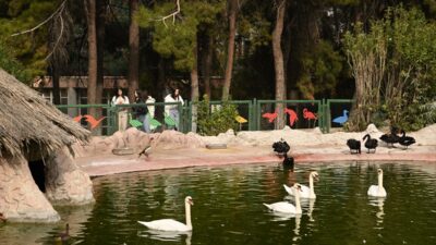 - Yaklaşık 350 türden 7 binden fazla hayvanın barındığı doğal