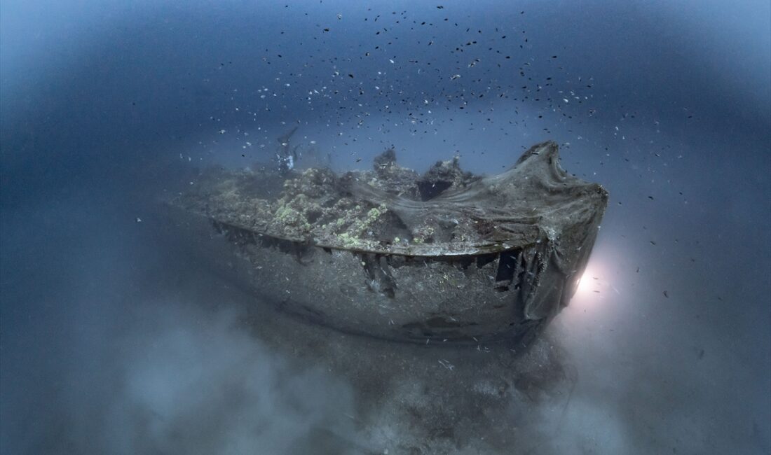 - Kültür ve Turizm Bakanlığı Çanakkale Savaşları Gelibolu Tarihi Alan