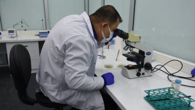 - Gıda analiz laboratuvarlarında "insan sağlığı için zararlı olan küf