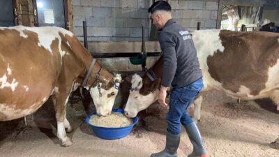 - Esma Nur ve Harun Sarıaydın çifti, Tarım ve Orman