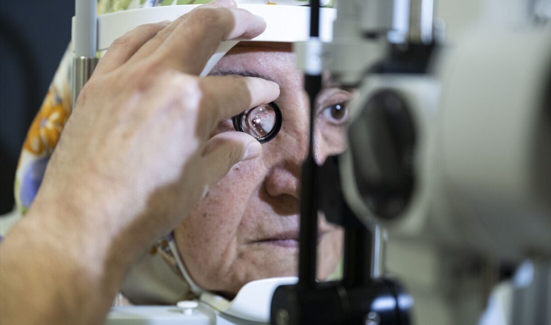 - Ankara'da yaşayan 76 yaşındaki Fatma Boyraz, görme kaybına yol