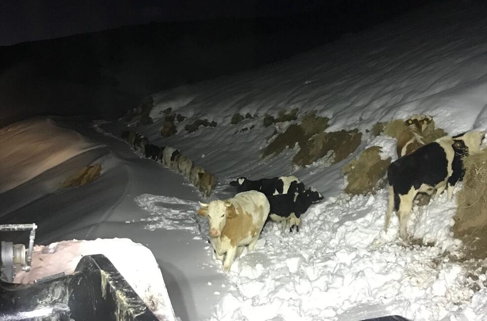 HAKKARİ (AA) – Hakkari’nin Durankaya beldesinde iki gün önce kaybolan