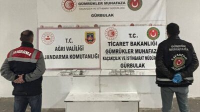 AĞRI (AA) – Ağrı'nın Doğubayazıt ilçesindeki Gürbulak Gümrük Kapısı'nda iki