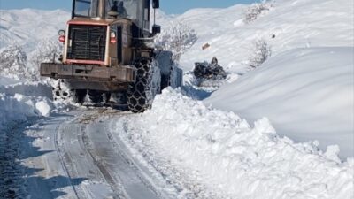 VAN (AA) – Hakkari ve Muş'ta kar nedeniyle kapanan 44