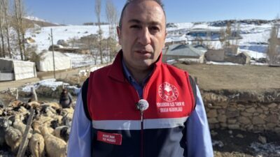 - Yüksekova ilçesinde kaymakamlığın koordinasyonunda 40 haneli Gökyurt köyüne giden