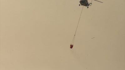 HAKKARİ (AA) – Hakkari'nin Yüksekova ilçesinde çok sayıda kuş türüne