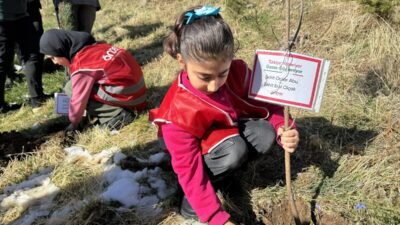HAKKARİ (AA) – Hakkari'de, "Türkiye Yeşeriyor, Gazze Güçleniyor" projesi kapsamında
