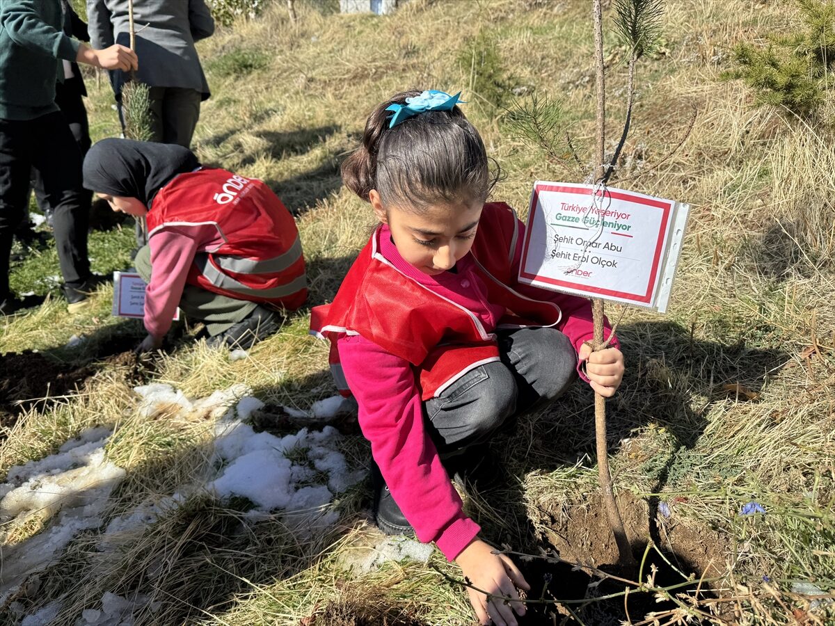 HAKKARİ (AA) – Hakkari'de, "Türkiye Yeşeriyor, Gazze Güçleniyor" projesi kapsamında