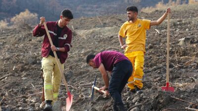 - Hatay Orman Bölge Müdürlüğü, 11 Kasım Milli Ağaçlandırma Günü'nde