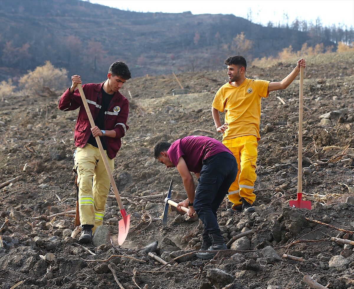 - Hatay Orman Bölge Müdürlüğü, 11 Kasım Milli Ağaçlandırma Günü'nde