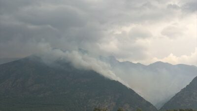 HATAY (AA) – Hatay'ın Arsuz ilçesinde 2 farklı noktada çıkan