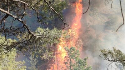 HATAY (AA) – Hatay'ın Belen ilçesinde ormanlık alanda çıkan yangına
