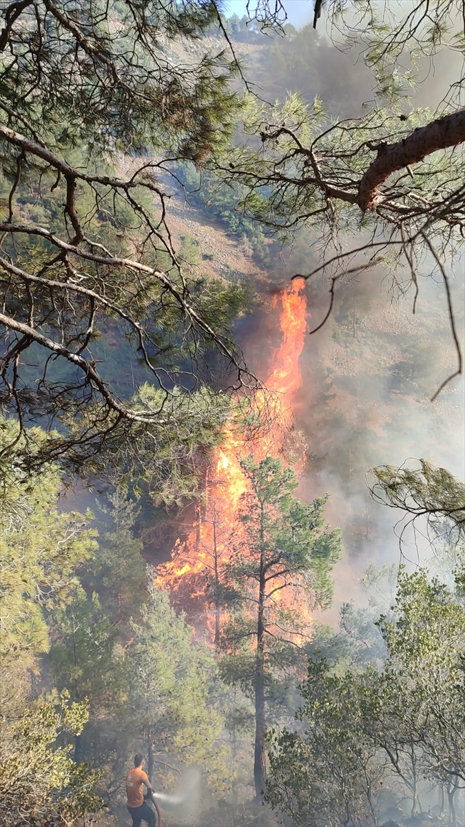 HATAY (AA) – Hatay'ın Belen ilçesinde ormanlık alanda çıkan yangına
