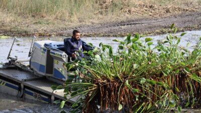 HATAY (AA) – Hatay'ın Kırıkhan ilçesindeki Gölbaşı Gölü'nde ekosisteme zarar
