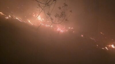 HATAY (AA) – Hatay'ın Arsuz ilçesinde ormanlık alanda çıkan yangına