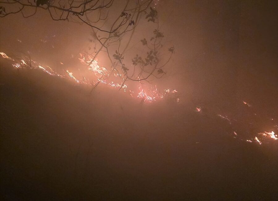 HATAY (AA) – Hatay'ın Arsuz ilçesinde ormanlık alanda çıkan yangına