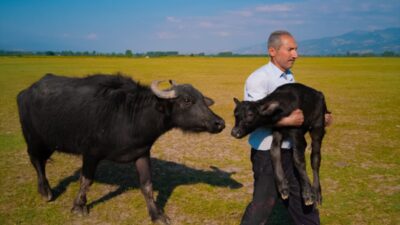 İSTANBUL (AA) – Huawei XMAGE Mobil Fotoğrafçılık Ödülleri 2025'te Türk