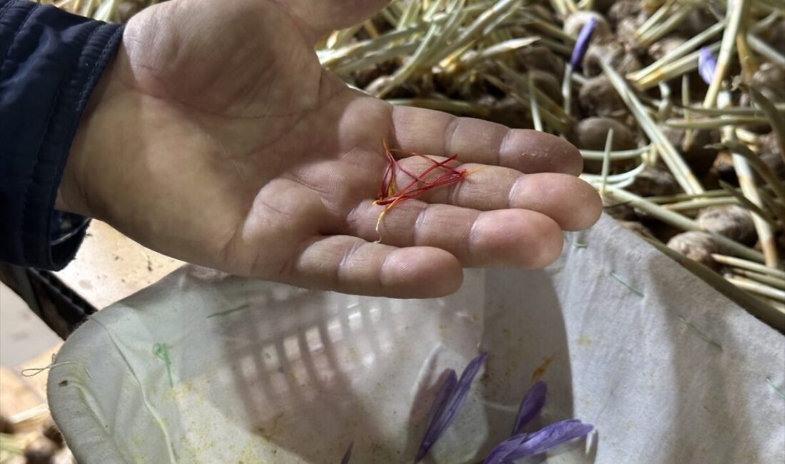 ISPARTA (AA) – Isparta'nın Eğirdir ilçesinde kuraklıktan etkilenen çiftçilerden bazıları,