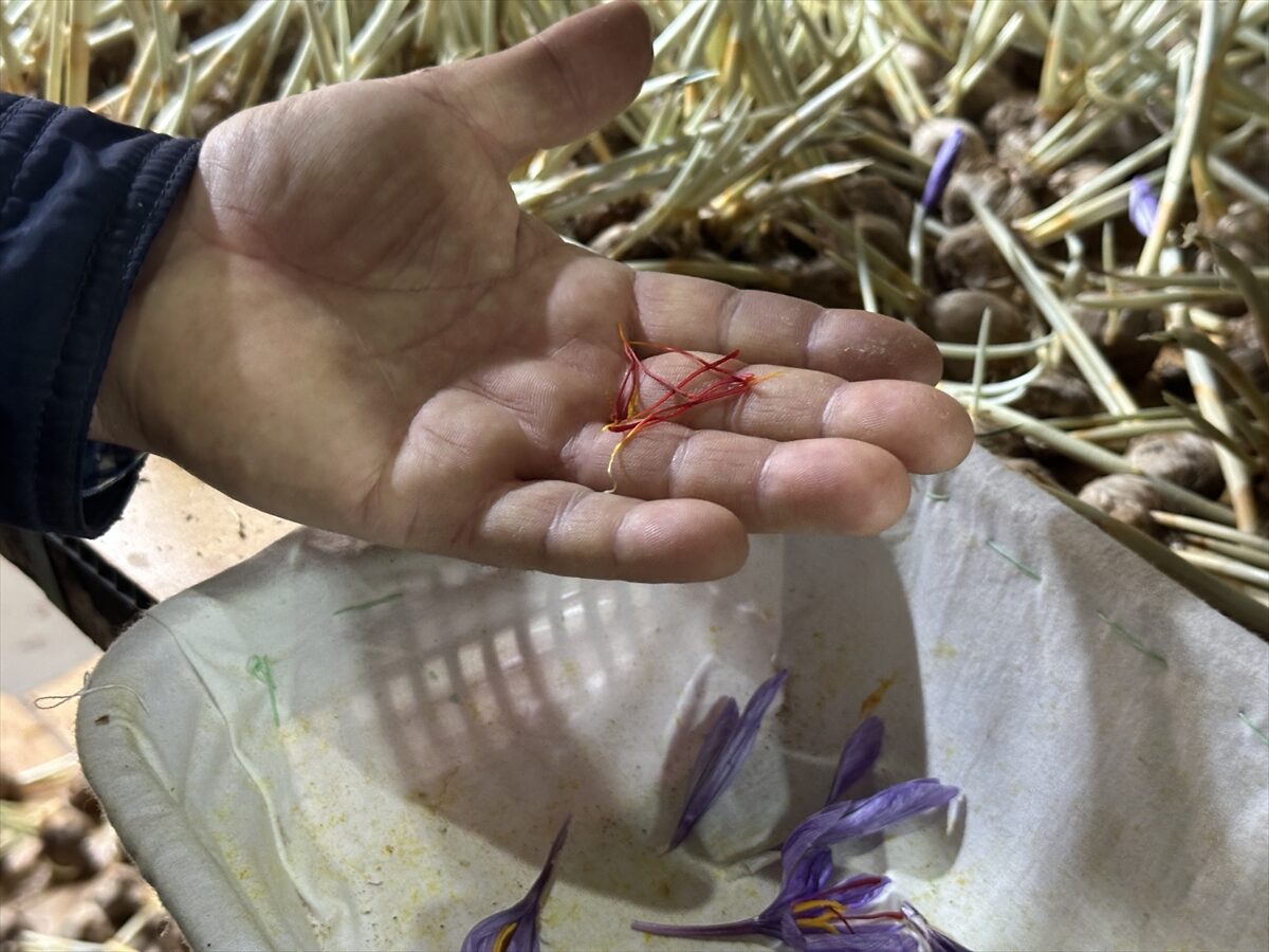 ISPARTA (AA) – Isparta'nın Eğirdir ilçesinde kuraklıktan etkilenen çiftçilerden bazıları,