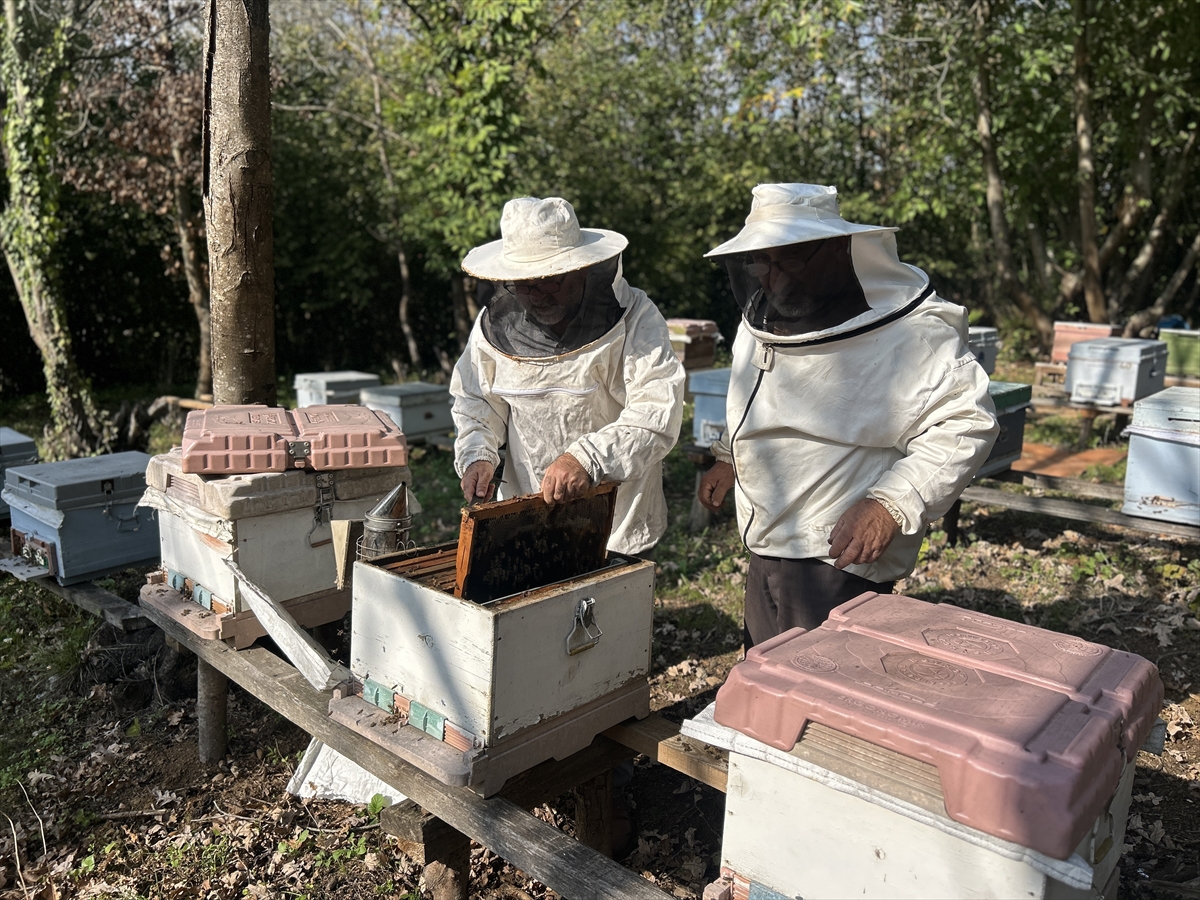 - Beykoz'da, kestane ağaçlarının arasında doğal bal üreten arıcı Alaaddin