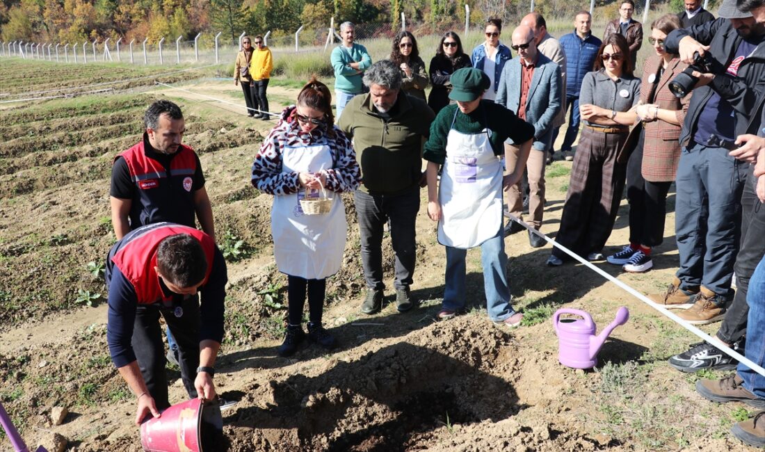 KARABÜK (AA) – Karabük'ün UNESCO Dünya Mirası Listesi'ndeki Safranbolu ilçesinde