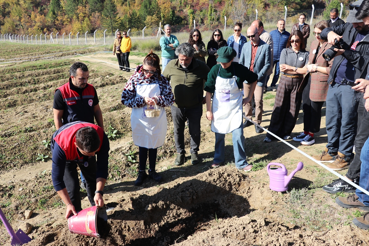 KARABÜK (AA) – Karabük'ün UNESCO Dünya Mirası Listesi'ndeki Safranbolu ilçesinde
