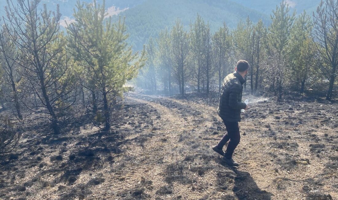 KARS (AA) – Kars'ın Sarıkamış ilçesinde ormanlık alanda çıkan örtü