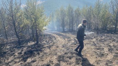 KARS (AA) – Kars'ın Sarıkamış ilçesinde ormanlık alanda çıkan örtü