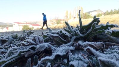 KARS (AA) – Kars'ın Sarıkamış ilçesinde soğuk hava ve kırağı