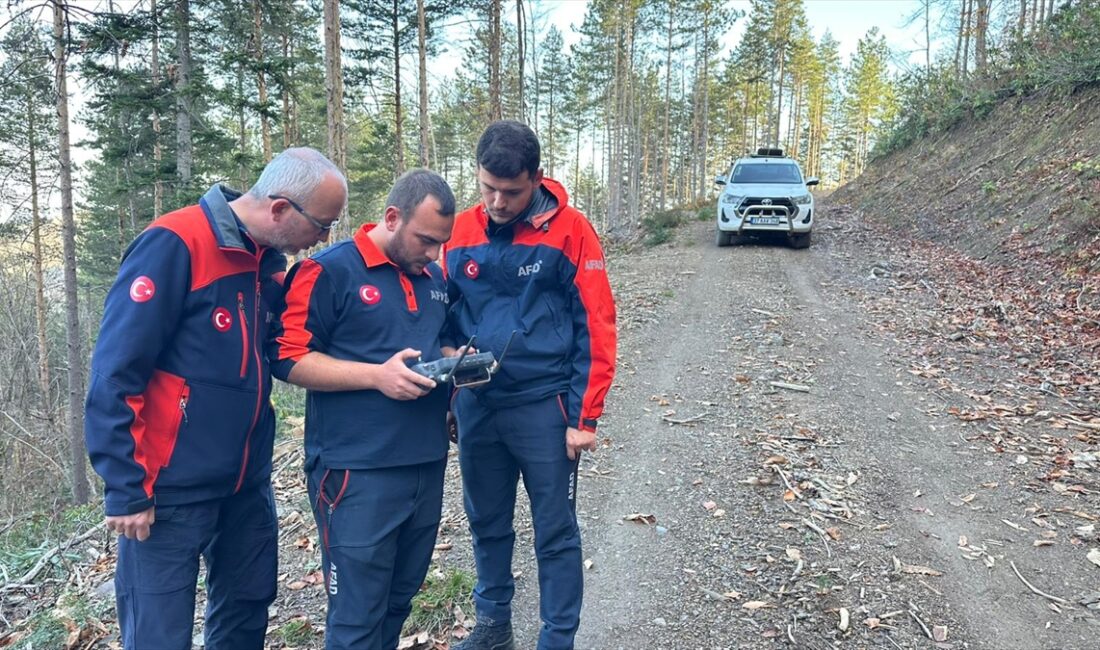 - Bölgedeki bir bataklıkta iş makineleriyle arama yapıldı ancak bir