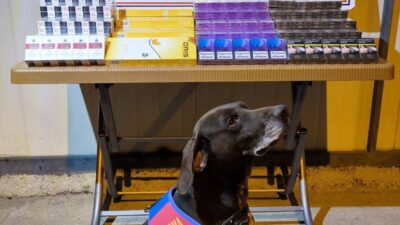 KAYSERİ (AA) – Kayseri'de bir tırda yapılan aramada 750 paket