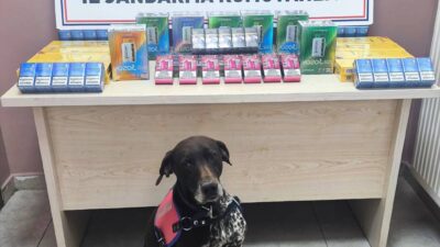 KAYSERİ (AA) – Kayseri'de düzenlenen kaçakçılık operasyonunda 2 şüpheli gözaltına