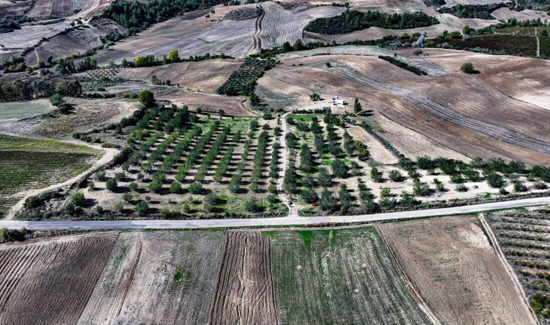 - Adana'da 71 yaşındaki çiftçi Hüseyin Bebeç, Orman Bölge Müdürlüğünden