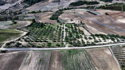 - Adana'da 71 yaşındaki çiftçi Hüseyin Bebeç, Orman Bölge Müdürlüğünden