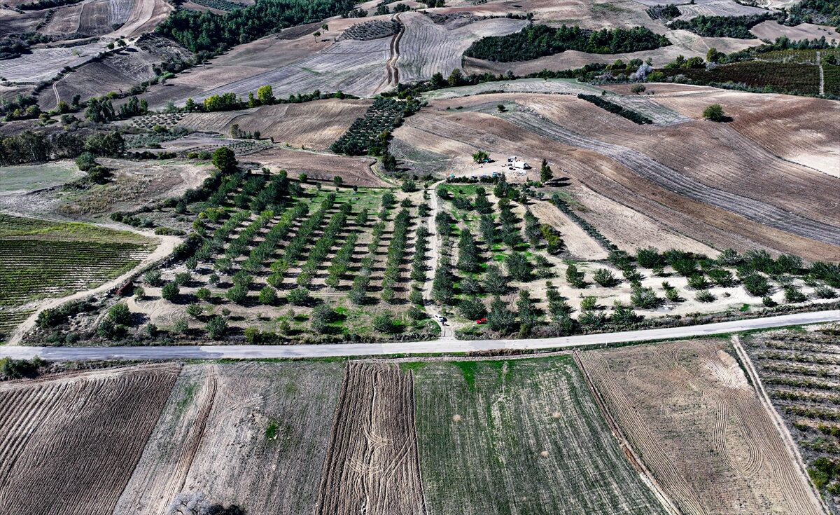 - Adana'da 71 yaşındaki çiftçi Hüseyin Bebeç, Orman Bölge Müdürlüğünden