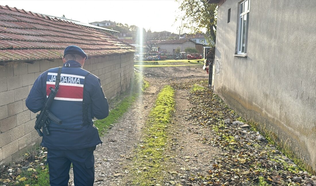 KIRKLARELİ (AA) – Kırklareli'nin Lüleburgaz ilçesinde bir evin bahçesinde bulunan