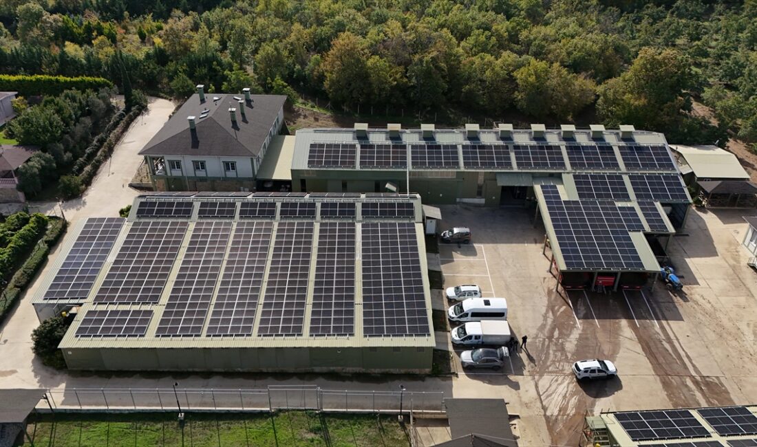 - Demirköy ilçesinde 1200 dekar alanda ceviz üreten işletme enerji