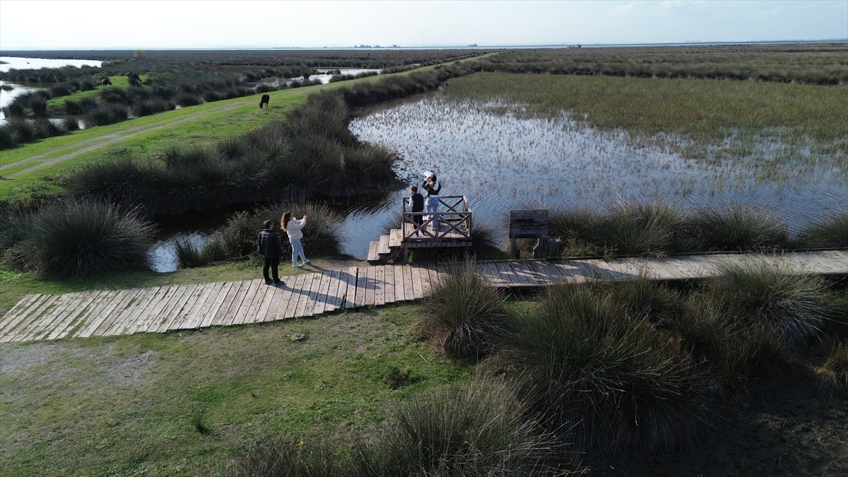 - UNESCO Dünya Mirası Geçici Listesi'nde yer alan delta, doğa