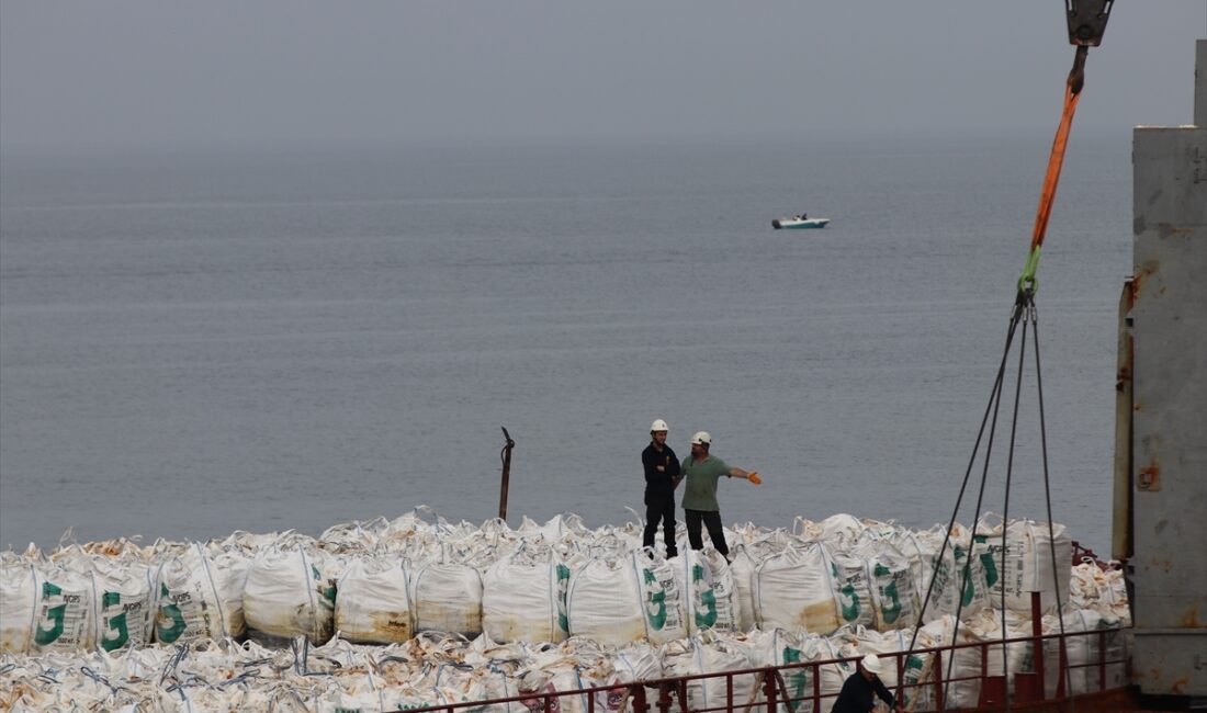 KOCAELİ (AA) – Kocaeli'nin Kandıra ilçesinde 18 Eylül'de karaya oturan